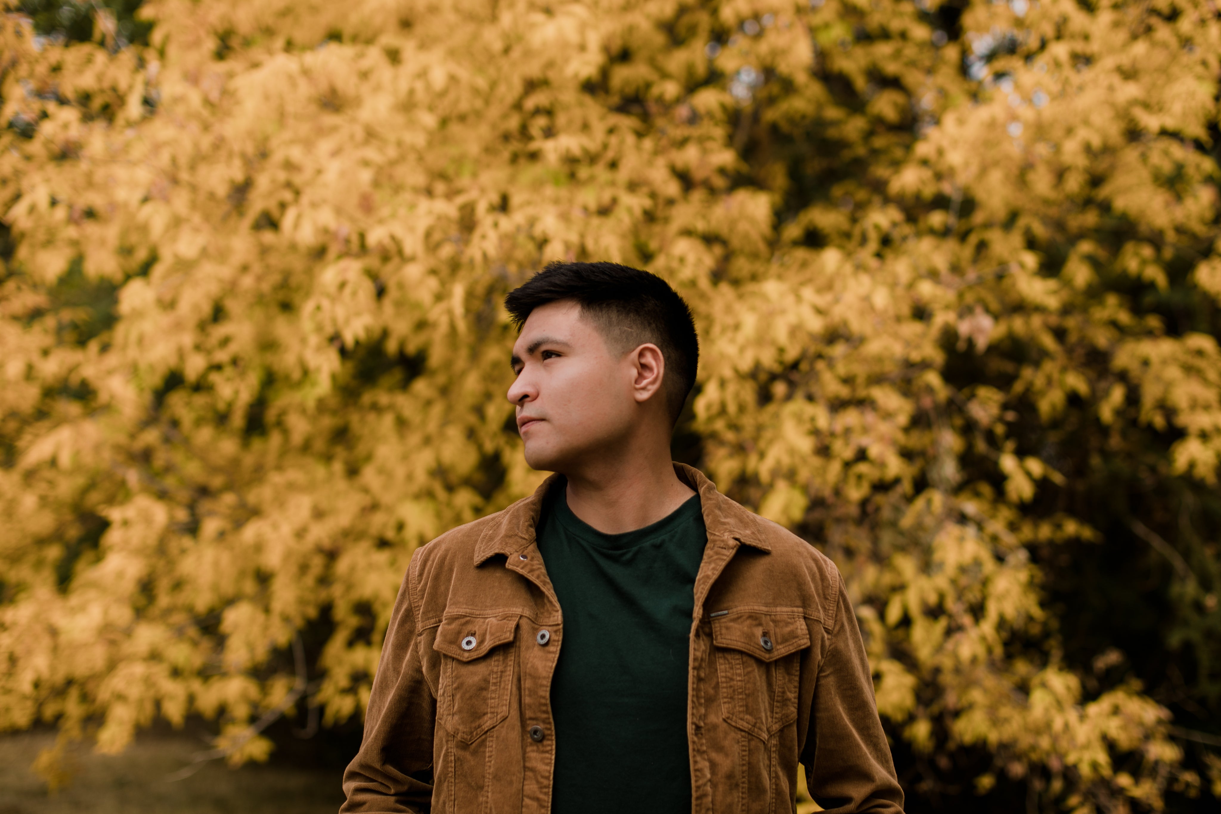 &nbsp;<em><strong>David M.</strong></em>&nbsp;
